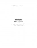 Publicidad del evento deportivo