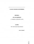 PLAN DE CUIDADOS DE ENFERMERIA. HISTORIA CLINICA