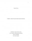Cuidados y medicación supervisada de mascotas domesticas