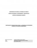 INSTRUMENTO METODOLÓGICO PARA LA ATENCIÓN DE ENFERMERÍA (MODELO DE VIRGINIA HENDERSON)