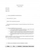 INVERSIONES MAR PASIFICO Empresa: INVERSIONES DEL MAR PACÍFICO S.A Forma de producción: Continua