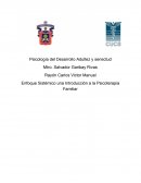 Enfoque Sistémico una Introducción a la Psicoterapia Familiar