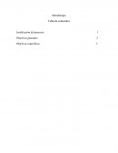 La gran accidentalidad en las calles de Colombia