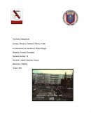 Pepe Actividad Integradora