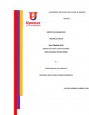 Analizar y observar la actividad de proteasas y de amilasas presentes en distintos alimentos