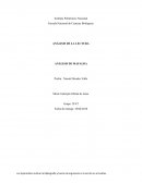 ANÁLISIS DE MAFALDA. Joaquín Salvador Lavado (Quino)