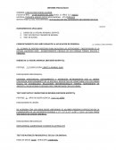 INFORME CARLOS EDUARDO AMADO NERVO