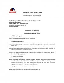 Proyecto intraempresarial. Página 1