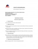 Proyecto intraempresarial