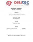 Pequeñas Empresas y Desarrollo de Franquicias. Plan de Marketing