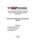 PROYECTO DE PREFACTIBILIDAD DE VIRGO BAR SRL