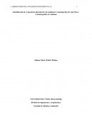 Determinación de Capsaicina a partir de ají mediante cromatografía en capa fina y cromatografía en columna.