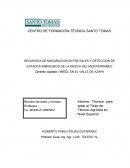 SECUENCIA DE MADURACION EN FRUTALES Y DETECCION DE ESTADOS INMADUROS DE LA MOSCA DEL MEDITERRANEO Ceratitis capitata (WIED), EN EL VALLE DE AZAPA