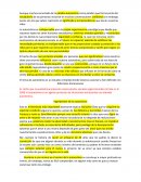 Los ingredientes de la Autoestima