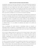 Aspectos clave del currículum de educación básica.