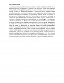 Tipo y volumen salival