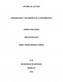 ORGANIZACIÓN Y TRATAMIENTO DE LA INFORMACIÓN II