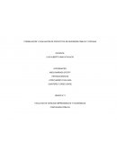 FORMULACIÓN Y EVALUACIÓN DE PROYECTOS DE INVERSIÓN PÚBLICA Y PRIVADA