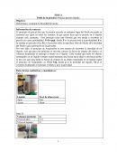 Informe presion en liquido