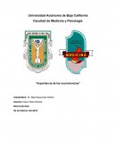 Importancia de las neurociencias