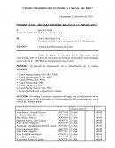 INFORME Nº0 01 – 2010 SUB COMITÉ DE REGANTES C.C. MISAHUANCA