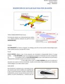 DESCRIPCIÓN DE UN FLUJO QUE PASA POR UN AVIÓN