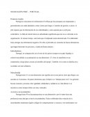 NEGOCIACIÓN PERÚ – PORTUGAL