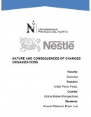 NATURE AND CONSEQUENCES OF CHANGES ORGANIZATIONS