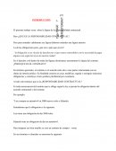 ¿Que es la reponsabilidad contractual?