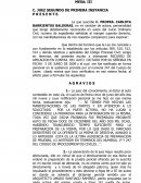 APELACION CONTRA AUTO