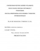 PLAN DE NEGOCIOS: CYBERTEC E.I.R.L
