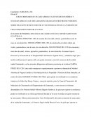 Esquema de dictamen de expertos