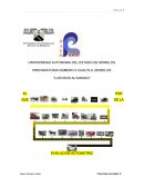 EL POR QUE DE LA EVOLUCIÓN AUTOMOTRIZ