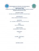 Teorias Epidemiologicas Enfermeria Comunitaria