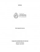 Organización del lenguaje en su evolución