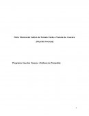 Importancia Económica del Tomate en el Estado de Jalisco