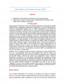 Valor Relativo de Soporte Normal (CBR)