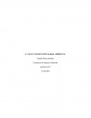 LA NUEVA INSTITUCIONALIDAD AMBIENTAL