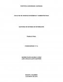 AUDITORIA DE SISTEMAS DE INFORMACIÓN