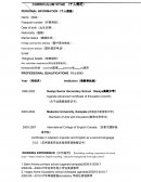 Ejemplo de Hoja de Vida