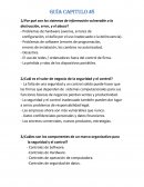 Magistral ¿Por qué son los sistemas de información vulnerable a la destrucción, error, y el abuso?