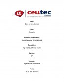 Ciclo de los nuetrientes