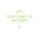 Ensayo sobre las bacterias