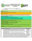 PLANEACION DE SEGUNDO GRADO ESPAÑOL PROYECTO 14 PROYECTO PARTICIPACIÓN SOCIAL DE SEGUNDO GRADO