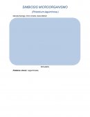 SIMBIOSIS MICROORGANISMO