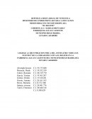 MISION RIBAS TECNICO DIVERSIFICADA