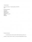 Tichinella spiralis Descripción del parásito.