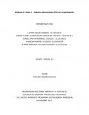 Unidad II: Paso 3 - Diseño alternativas PML en organización