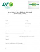 Práctica con NE 555 Timer