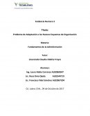 Problema de Adaptación a los Nuevos Esquemas de Organización